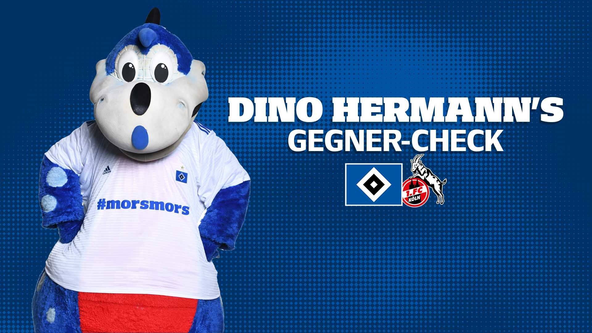 Dino Hermann's Gegnercheck | 1. FC Köln | HSVtv